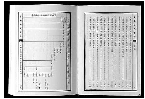 [张]永丰张氏宗谱 (江西) 永丰张氏家谱_六.pdf