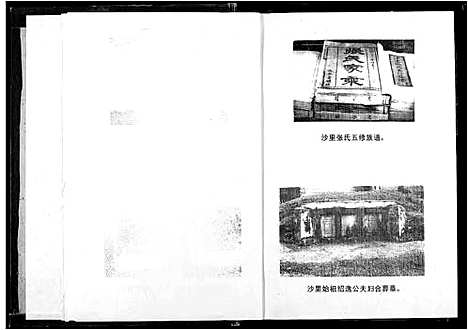 [张]沙里张氏族谱 (江西) 沙里张氏家谱_一.pdf