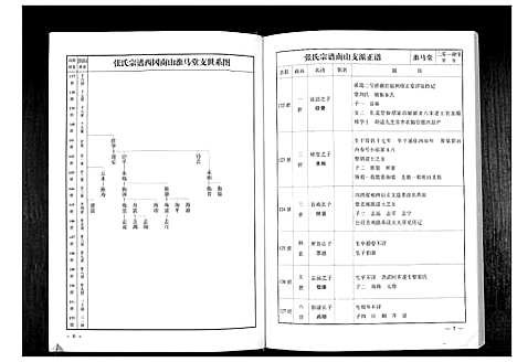 [张]华夏张氏统谱新建分谱_10卷首1卷 (江西) 华夏张氏统谱_十一.pdf