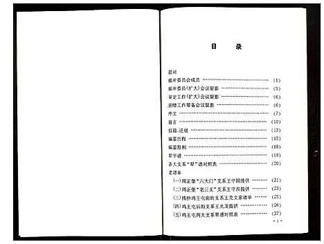 [王]王氏家谱 (辽宁) 王氏家谱.pdf