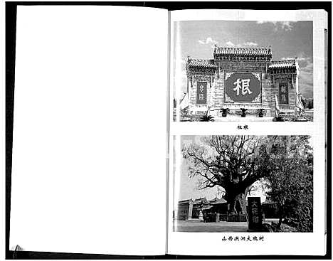 [杨]杨氏宗谱-入宁中寨子始祖杨国强宗支 (宁夏) 杨氏家谱.pdf