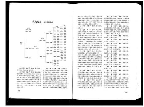 [曾]武城曾氏续修族谱 (四川) 武城曾氏续修家谱_二.pdf