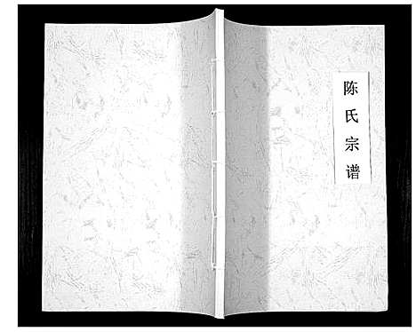 [陈]陈氏宗谱_不分卷 (四川) 陈氏家谱_一.pdf