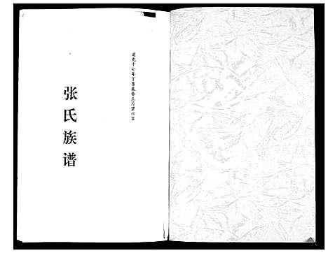 [张]张氏族谱 (四川) 张氏家谱.pdf