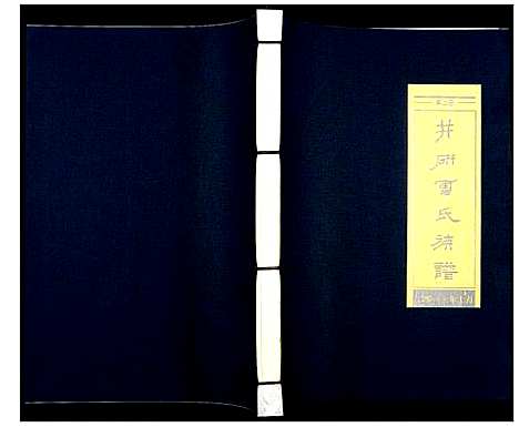 [雷]井研雷氏族谱 (四川) 井研雷氏家谱_二.pdf