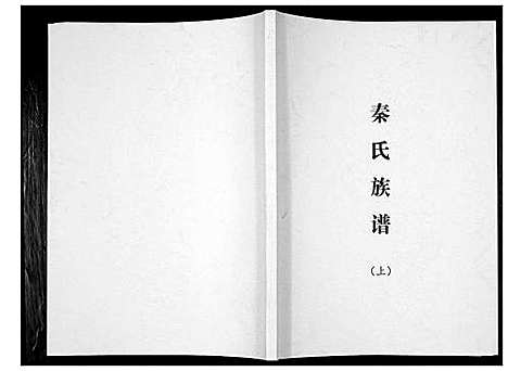 [秦]秦氏族谱 (四川) 秦氏家谱_一.pdf