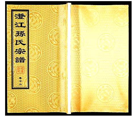 [孙]孙氏宗谱 (四川) 孙氏家谱_九.pdf