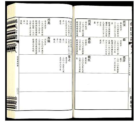 [孙]孙氏宗谱 (四川) 孙氏家谱_十一.pdf