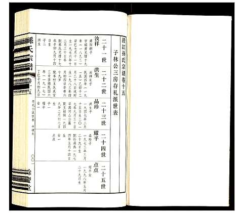 [孙]孙氏宗谱 (四川) 孙氏家谱_十五.pdf