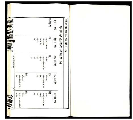 [孙]孙氏宗谱 (四川) 孙氏家谱_十六.pdf