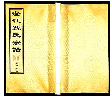 [孙]孙氏宗谱 (四川) 孙氏家谱_十七.pdf