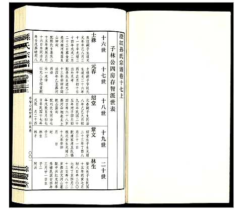 [孙]孙氏宗谱 (四川) 孙氏家谱_十七.pdf