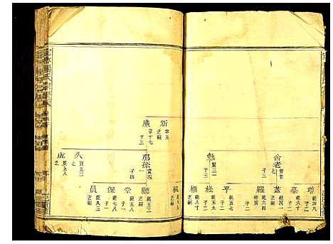 [杨]定水杨氏宗谱 (四川) 定水杨氏家谱_二.pdf