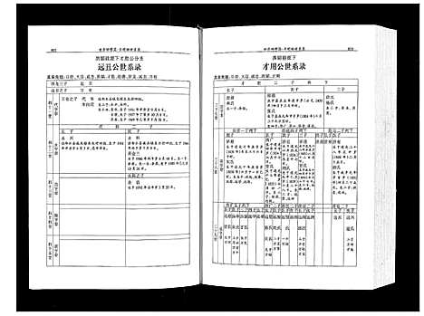 [余]余氏族谱_上下册 (四川) 余氏家谱_二.pdf