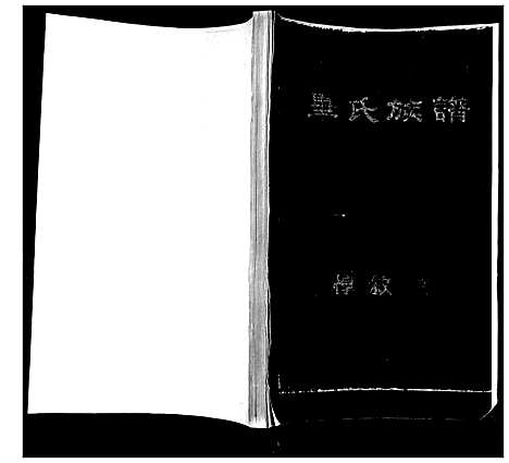 [毕]毕氏族谱 (山东) 毕氏家谱.pdf