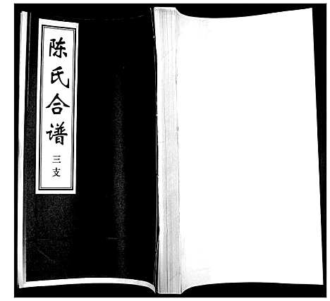 [陈]陈氏合谱_4卷 (山东) 陈氏合谱_三.pdf