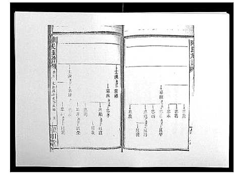 [陈]陈氏族谱 (山东) 陈氏家谱_十二.pdf