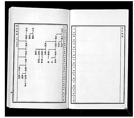 [陈]陈氏族谱_5卷 (山东) 陈氏家谱_六.pdf