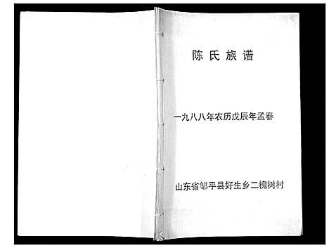 [陈]陈氏族谱_不分卷 (山东) 陈氏家谱.pdf