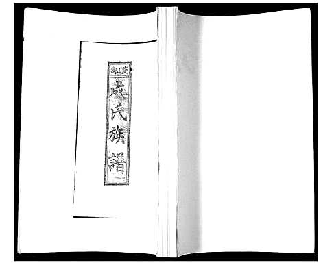 [成]成氏族谱_不分卷 (山东) 成氏家谱.pdf