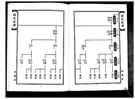 [程]程氏族谱_8卷 (山东) 程氏家谱_三.pdf