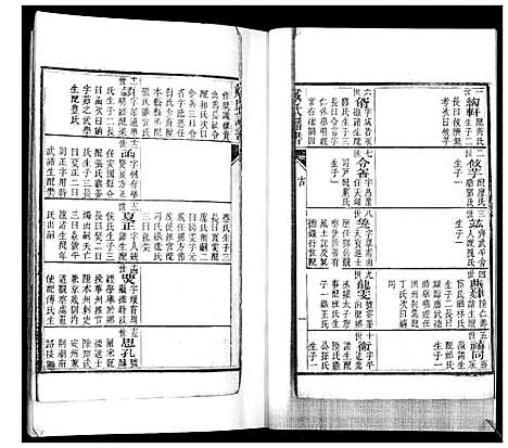 [戴]戴氏族谱_不分卷 (山东) 戴氏家谱_一.pdf