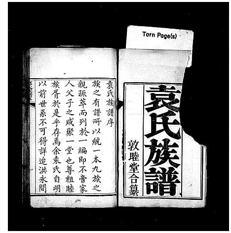 [袁]袁氏族谱 (山东) 袁氏家谱.pdf