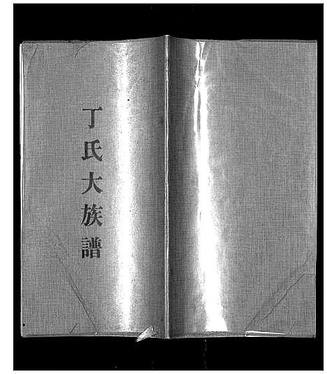 [丁]丁氏大族谱_不分卷 (山东) 丁氏大家谱.pdf