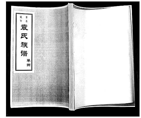 [袁]袁氏族谱_6卷 (山东) 袁氏家谱_二.pdf