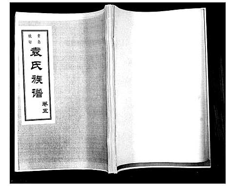 [袁]袁氏族谱_6卷 (山东) 袁氏家谱_三.pdf