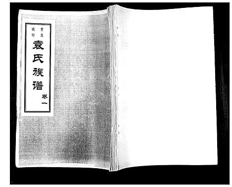 [袁]袁氏族谱_6卷 (山东) 袁氏家谱_五.pdf