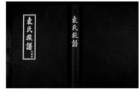 [袁]袁氏族谱_不分卷 (山东) 袁氏家谱.pdf