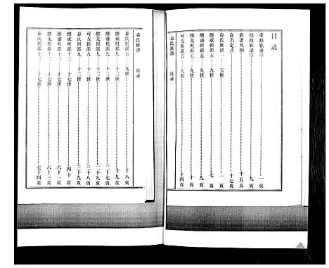 [袁]袁氏族谱_不分卷 (山东) 袁氏家谱.pdf