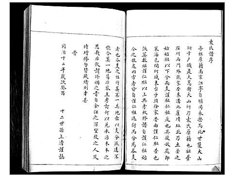 [袁]袁氏族谱_不分卷 (山东) 袁氏家谱.pdf