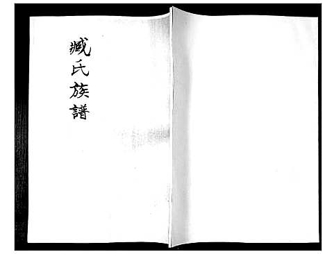 [臧]臧氏族谱 (山东) 臧氏家谱_一.pdf