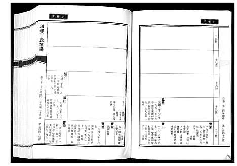 [丁]琅琊丁氏家乘_6卷 (山东) 琅琊丁氏家乘_二.pdf