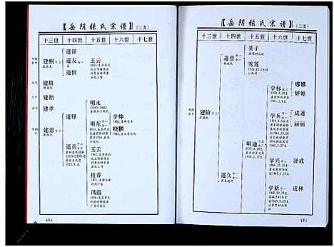 [张]山东淄川岳阴张氏宗谱_不分卷-岳阴张氏宗谱 (山东) 山东淄川岳阴张氏家谱_二.pdf