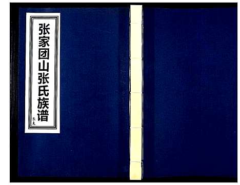 [张]张家团山张氏族谱 (山东) 张家团山张氏家谱_一.pdf