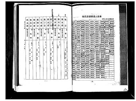 [张]张氏宗谱 (山东) 张氏家谱_一.pdf