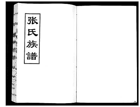 [张]张氏族谱_2卷 (山东) 张氏家谱_一.pdf