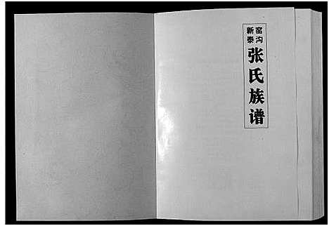 [张]新泰窑沟张氏族谱 (山东) 新泰窑沟张氏家谱.pdf