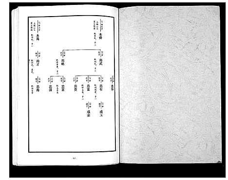 [张]东原张氏族谱_2卷 (山东) 东原张氏家谱_二.pdf