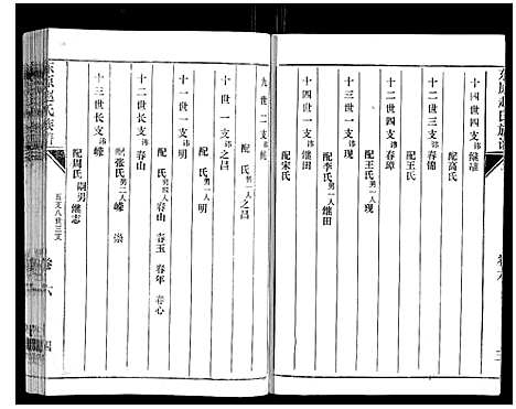 [赵]东原赵氏族谱_19卷 (山东) 东原赵氏家谱_六.pdf