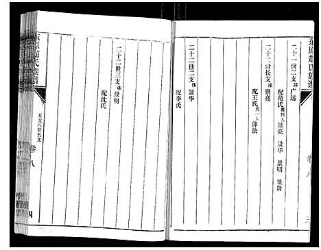 [赵]东原赵氏族谱_19卷 (山东) 东原赵氏家谱_八.pdf