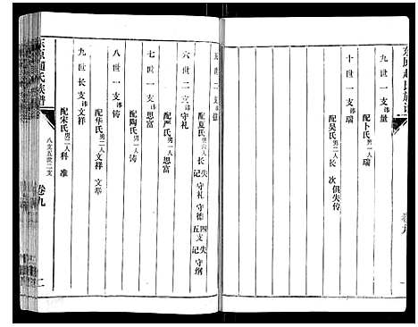 [赵]东原赵氏族谱_19卷 (山东) 东原赵氏家谱_九.pdf