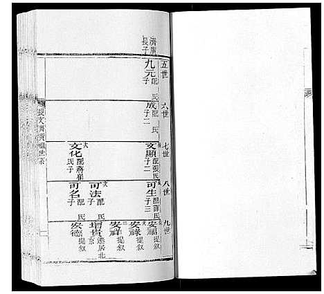 [赵]东蒙赵氏支谱 (山东) 东蒙赵氏支谱.pdf