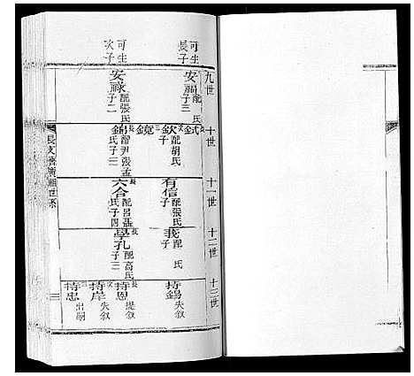 [赵]东蒙赵氏支谱 (山东) 东蒙赵氏支谱.pdf