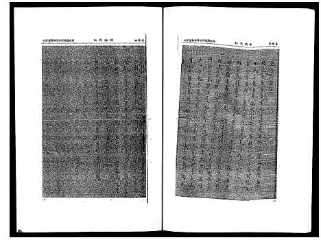 [杜]杜氏族谱 (山东) 杜氏家谱.pdf