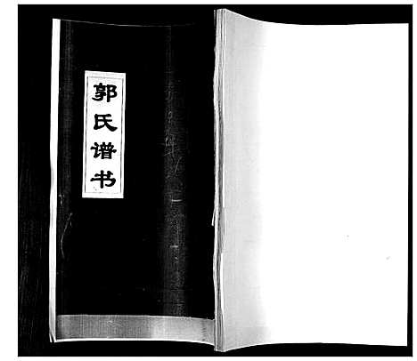 [郭]郭氏族谱 (山东) 郭氏家谱.pdf