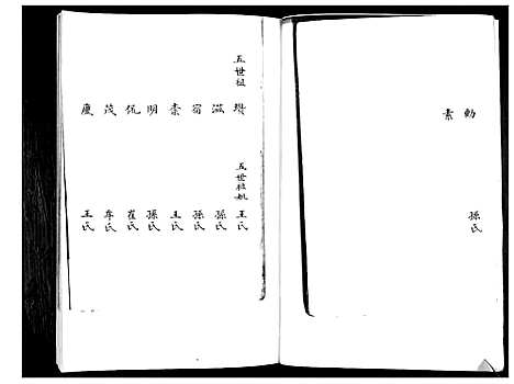 [韩]韩氏支谱 (山东) 韩氏支谱_一.pdf